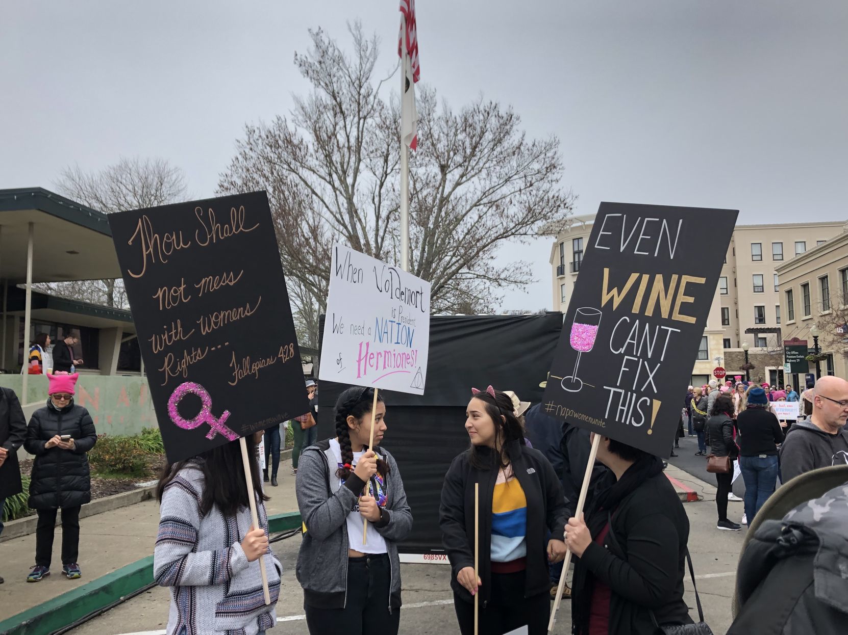 Women's March Napa Valley 2019